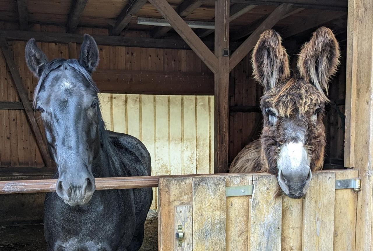 Lana Salta Alpakas - Gemuetliche Ferienwohnungen Auf Dem Bauernhof Murrhardt Exterior foto